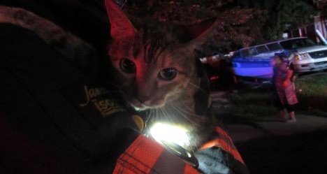 photo by Hazleton Fire Department