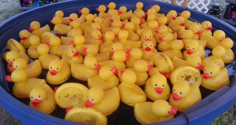 photo by Scott Schill