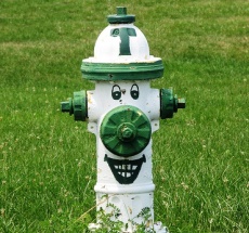 photo by Tom O'Neill