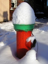 photo by Abigail M. Parker