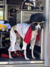 photo by Ambulance & Chair EMS