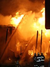 photo by Tyler Butler