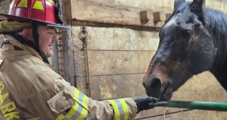 photo by Bethel Park Volunteer Fire Company