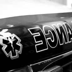 photo by Carina Potts