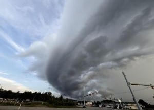 photo by Holly Osborne