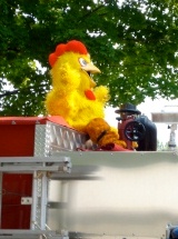 photo by Kevin Shock