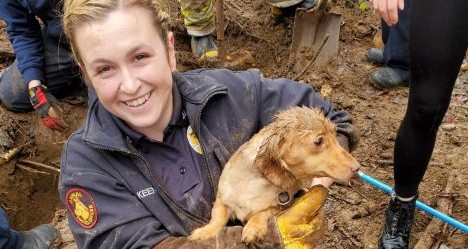 photo by Langhorne Middletown Fire Company