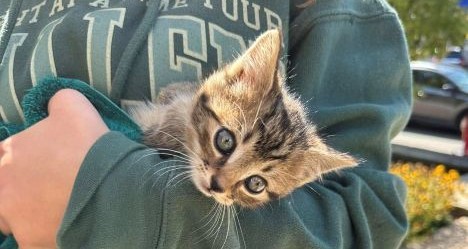 photo by Radnor Fire Company