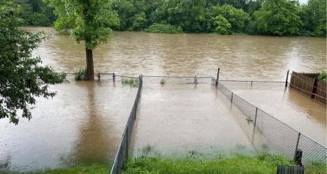 photo by Rhiannon Elias