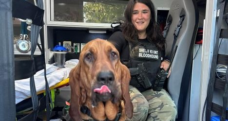 photo by Rostraver West Newton Emergency Services