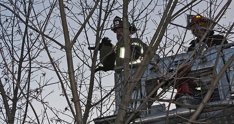 photo by Sabrina Schantzen