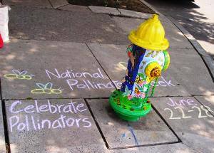 photo by Samantha Gallagher