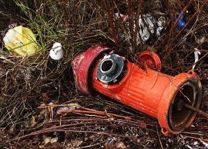 photo by Serena Thaw