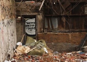 photo by Serena Thaw