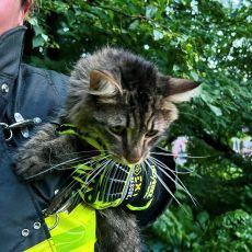 photo by Western Berks Fire Department